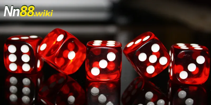 Thu thập kết quả và phân tích